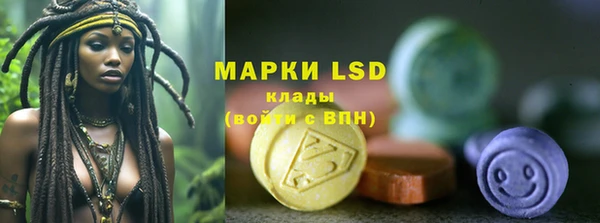 крисы Бронницы
