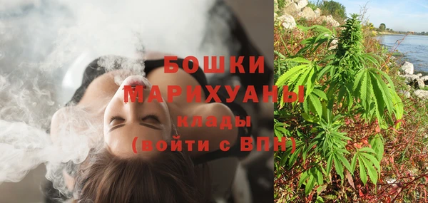 гашик Верея