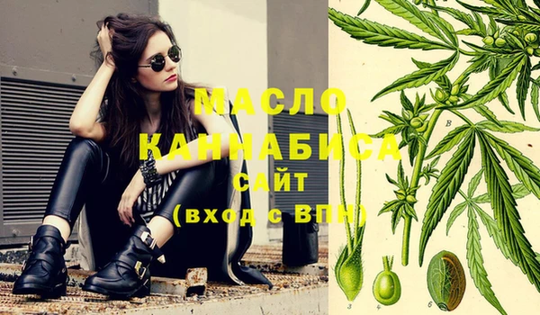 крисы Верхний Тагил