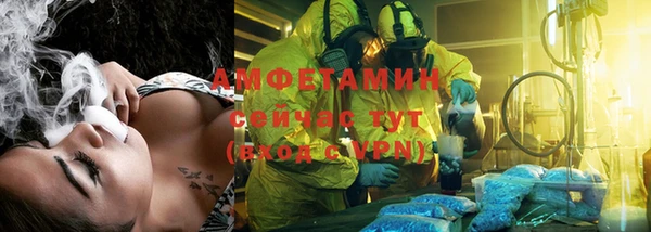 гашик Верея