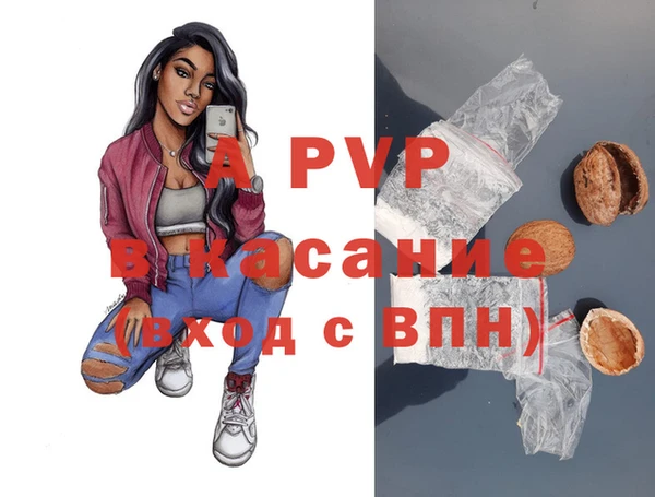 крисы Бронницы